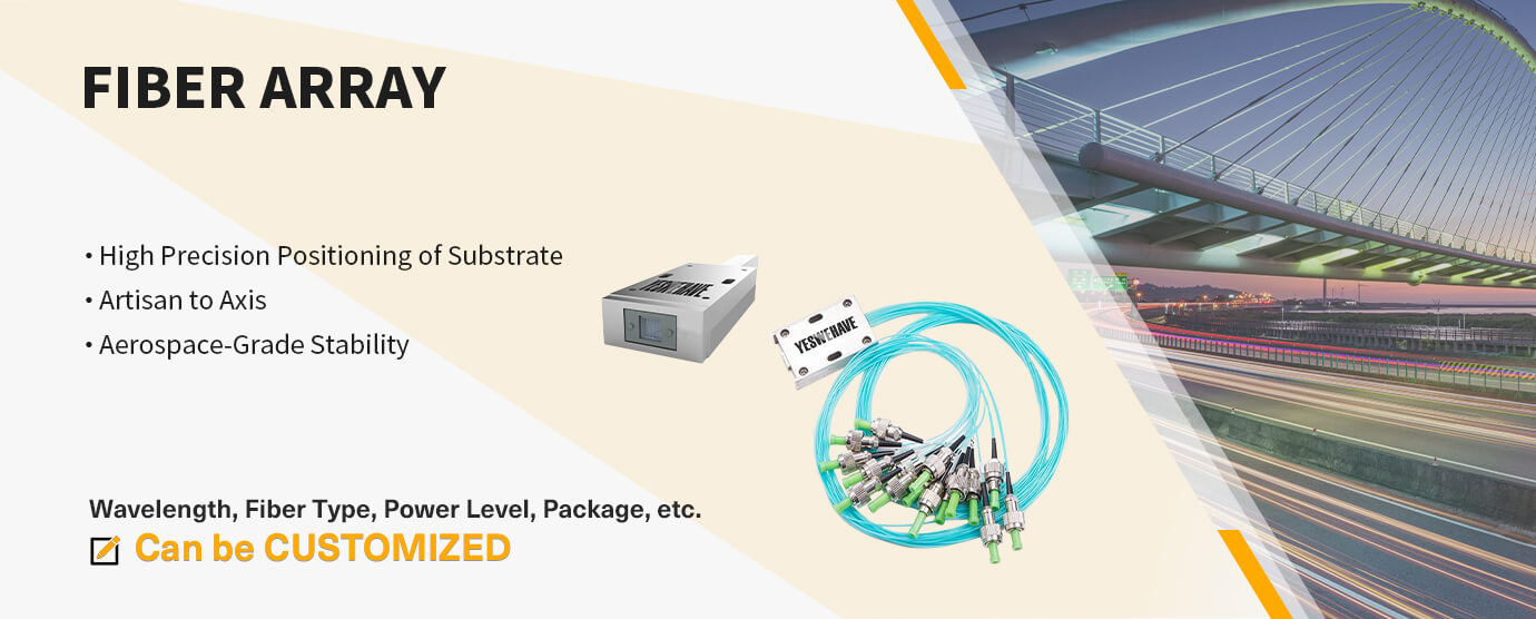 Features and applications of 2D PM Fiber Array