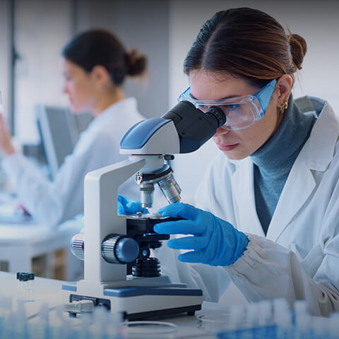 BioMedical